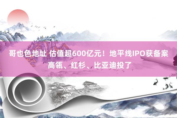 哥也色地址 估值超600亿元！地平线IPO获备案 高瓴、红杉、比亚迪投了