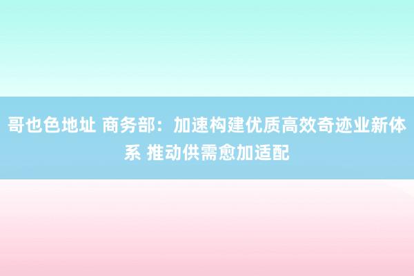 哥也色地址 商务部：加速构建优质高效奇迹业新体系 推动供需愈加适配