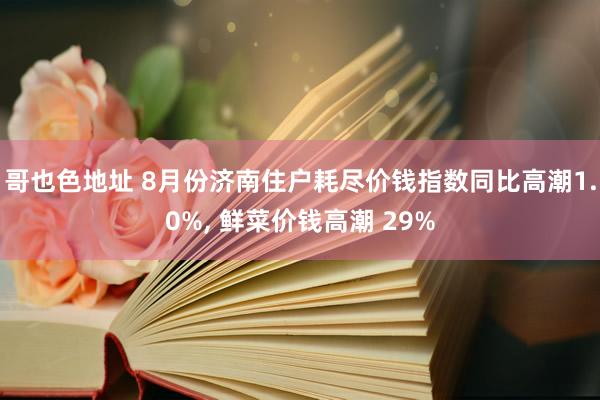 哥也色地址 8月份济南住户耗尽价钱指数同比高潮1.0%， 鲜菜价钱高潮 29%