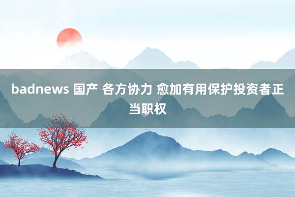 badnews 国产 各方协力 愈加有用保护投资者正当职权