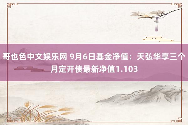 哥也色中文娱乐网 9月6日基金净值：天弘华享三个月定开债最新净值1.103