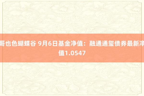 哥也色蝴蝶谷 9月6日基金净值：融通通玺债券最新净值1.0547