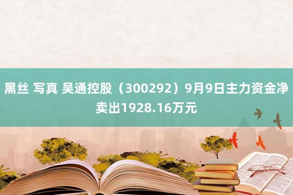 黑丝 写真 吴通控股（300292）9月9日主力资金净卖出1928.16万元