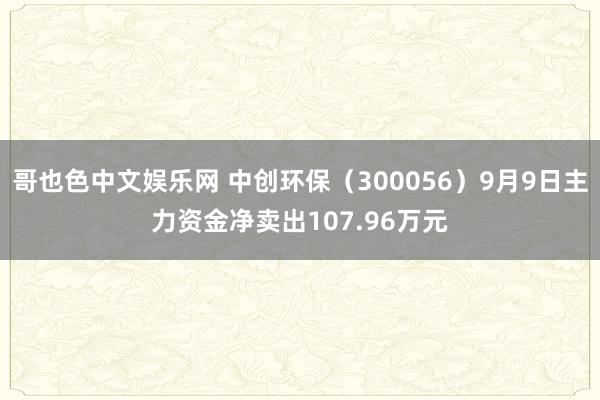 哥也色中文娱乐网 中创环保（300056）9月9日主力资金净卖出107.96万元