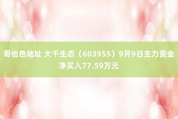 哥也色地址 大千生态（603955）9月9日主力资金净买入77.59万元