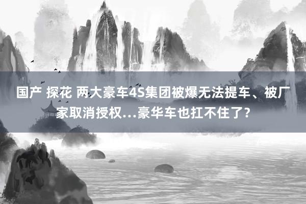 国产 探花 两大豪车4S集团被爆无法提车、被厂家取消授权…豪华车也扛不住了？