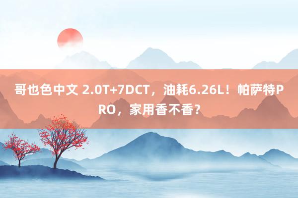 哥也色中文 2.0T+7DCT，油耗6.26L！帕萨特PRO，家用香不香？