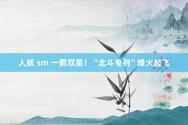 人妖 sm 一箭双星！“北斗专列”烽火起飞