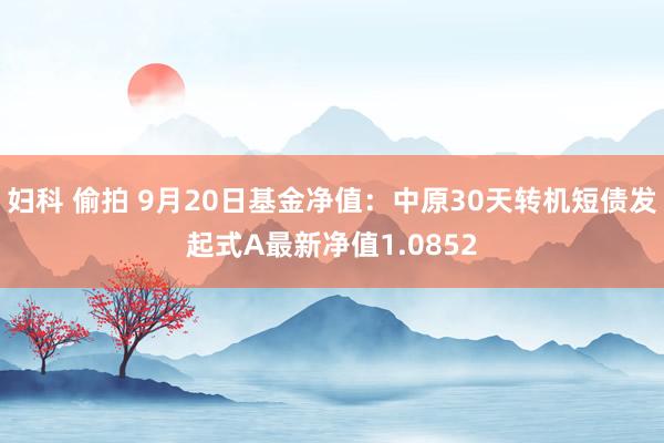 妇科 偷拍 9月20日基金净值：中原30天转机短债发起式A最新净值1.0852