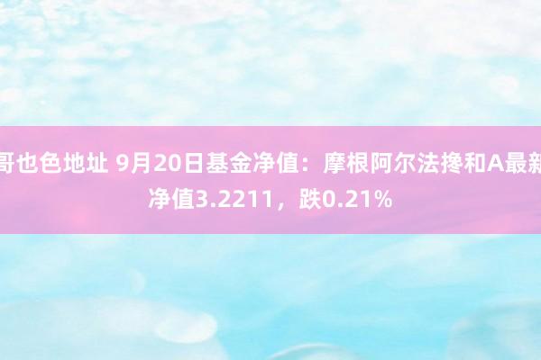 哥也色地址 9月20日基金净值：摩根阿尔法搀和A最新净值3.2211，跌0.21%