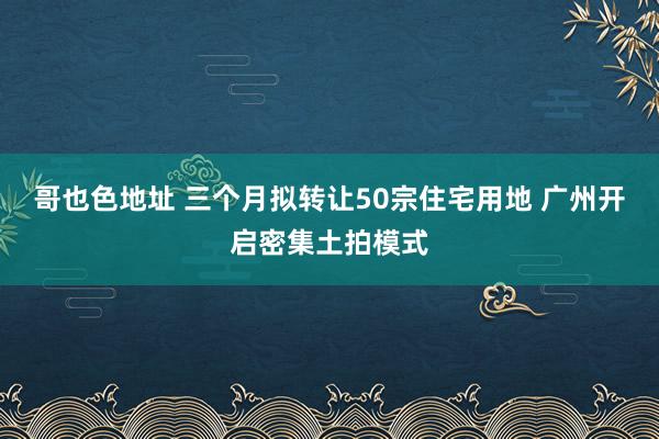 哥也色地址 三个月拟转让50宗住宅用地 广州开启密集土拍模式