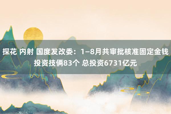 探花 内射 国度发改委：1—8月共审批核准固定金钱投资技俩83个 总投资6731亿元