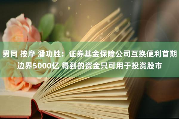 男同 按摩 潘功胜：证券基金保障公司互换便利首期边界5000亿 得到的资金只可用于投资股市