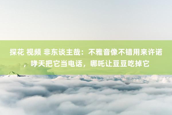 探花 视频 非东谈主哉：不雅音像不错用来许诺，哮天把它当电话，哪吒让豆豆吃掉它