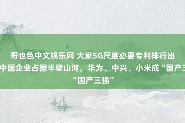 哥也色中文娱乐网 大家5G尺度必要专利排行出炉：中国企业占据半壁山河，华为、中兴、小米成“国产三强”