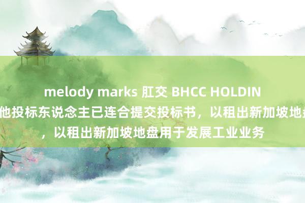 melody marks 肛交 BHCC HOLDING(01552)附属过甚他投标东说念主已连合提交投标书，以租出新加坡地盘用于发展工业业务