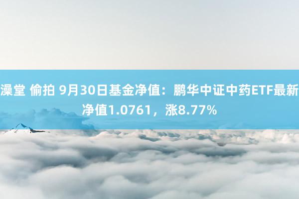 澡堂 偷拍 9月30日基金净值：鹏华中证中药ETF最新净值1.0761，涨8.77%