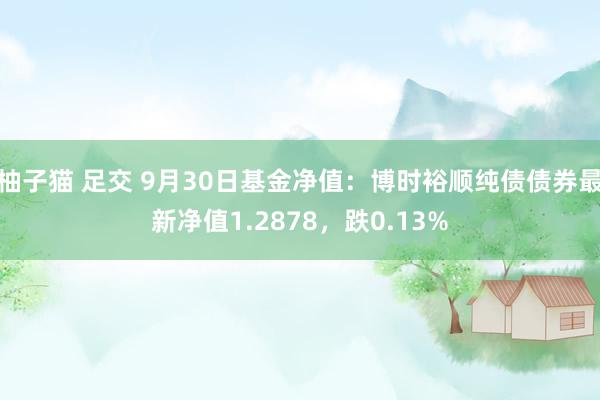 柚子猫 足交 9月30日基金净值：博时裕顺纯债债券最新净值1.2878，跌0.13%