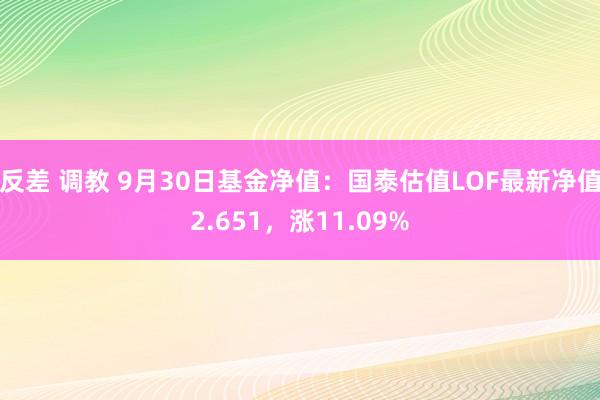 反差 调教 9月30日基金净值：国泰估值LOF最新净值2.651，涨11.09%