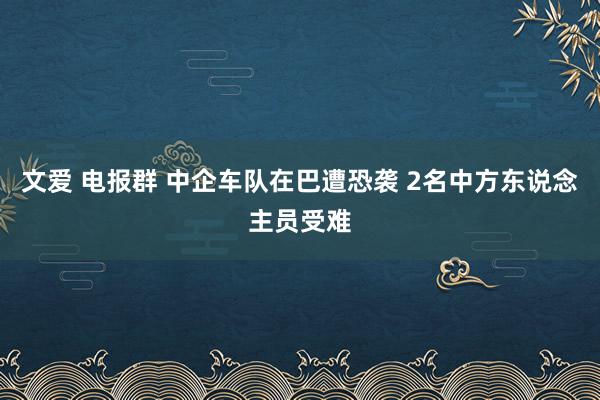 文爱 电报群 中企车队在巴遭恐袭 2名中方东说念主员受难