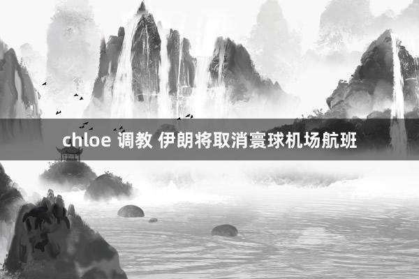 chloe 调教 伊朗将取消寰球机场航班