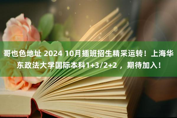 哥也色地址 2024 10月插班招生精采运转！上海华东政法大学国际本科1+3/2+2 ，期待加入！