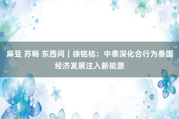 麻豆 苏畅 东西问｜徐铭梽：中泰深化合行为泰国经济发展注入新能源