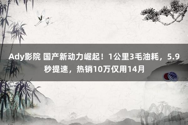 Ady影院 国产新动力崛起！1公里3毛油耗，5.9秒提速，热销10万仅用14月