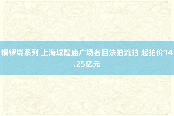 铜锣烧系列 上海城隍庙广场名目法拍流拍 起拍价14.25亿元