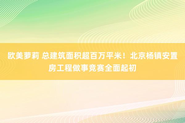 欧美萝莉 总建筑面积超百万平米！北京杨镇安置房工程做事竞赛全面起初