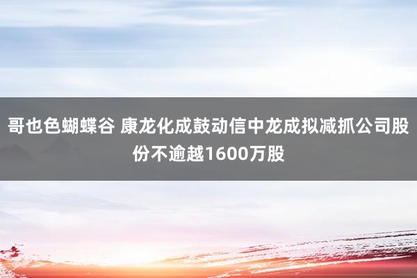 哥也色蝴蝶谷 康龙化成鼓动信中龙成拟减抓公司股份不逾越1600万股