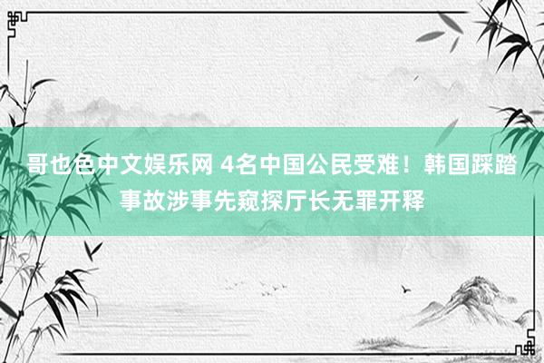 哥也色中文娱乐网 4名中国公民受难！韩国踩踏事故涉事先窥探厅长无罪开释