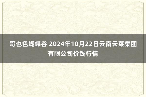 哥也色蝴蝶谷 2024年10月22日云南云菜集团有限公司价钱行情