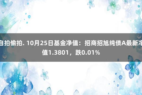 自拍偷拍. 10月25日基金净值：招商招旭纯债A最新净值1.3801，跌0.01%