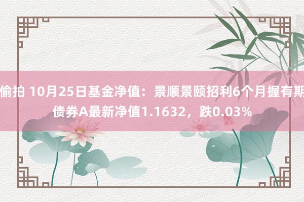 偷拍 10月25日基金净值：景顺景颐招利6个月握有期债券A最新净值1.1632，跌0.03%