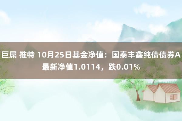 巨屌 推特 10月25日基金净值：国泰丰鑫纯债债券A最新净值1.0114，跌0.01%