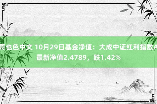 哥也色中文 10月29日基金净值：大成中证红利指数A最新净值2.4789，跌1.42%