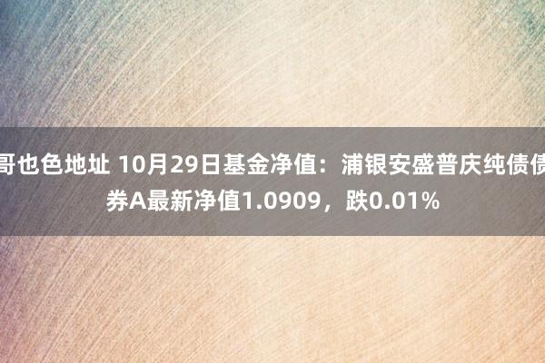 哥也色地址 10月29日基金净值：浦银安盛普庆纯债债券A最新净值1.0909，跌0.01%