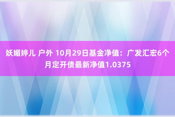 妖媚婷儿 户外 10月29日基金净值：广发汇宏6个月定开债最新净值1.0375