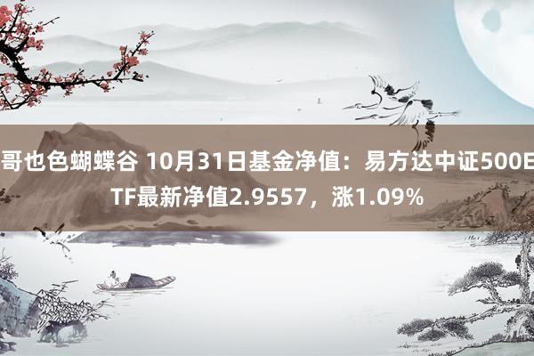 哥也色蝴蝶谷 10月31日基金净值：易方达中证500ETF最新净值2.9557，涨1.09%