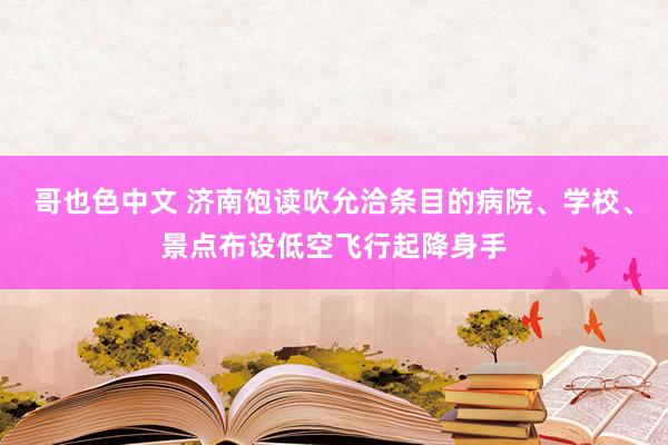 哥也色中文 济南饱读吹允洽条目的病院、学校、景点布设低空飞行起降身手