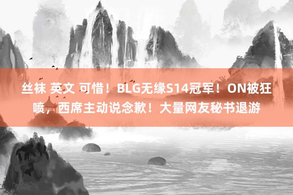 丝袜 英文 可惜！BLG无缘S14冠军！ON被狂喷，西席主动说念歉！大量网友秘书退游