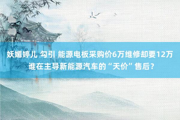 妖媚婷儿 勾引 能源电板采购价6万维修却要12万 谁在主导新能源汽车的“天价”售后？