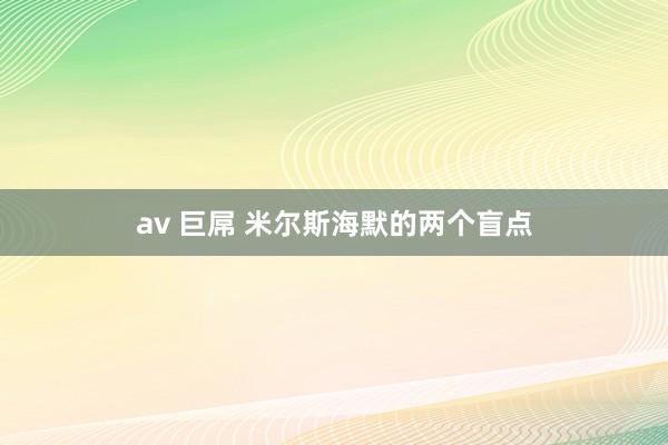 av 巨屌 米尔斯海默的两个盲点