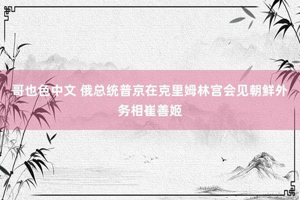 哥也色中文 俄总统普京在克里姆林宫会见朝鲜外务相崔善姬