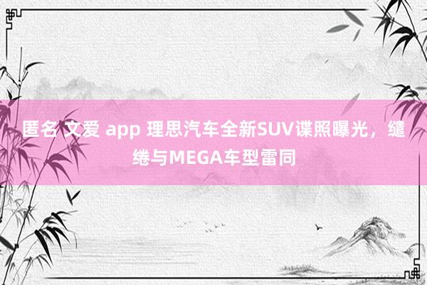 匿名 文爱 app 理思汽车全新SUV谍照曝光，缱绻与MEGA车型雷同