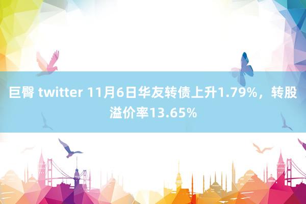 巨臀 twitter 11月6日华友转债上升1.79%，转股溢价率13.65%